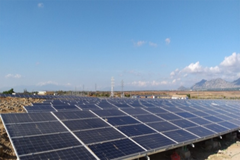 Nhà máy Điện mặt trời Thuận Nam 19