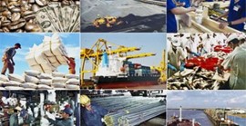 Quyết định 43/2018/QĐ-TTg ban hành Hệ thống ngành sản phẩm Việt Nam