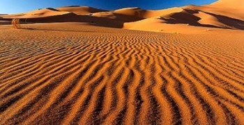 Vì sao cát biển và sa mạc không thể dùng để xây dựng?