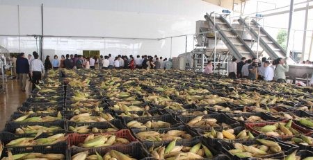 Khánh thành trung tâm chế biến rau quả lớn nhất Tây Nguyên