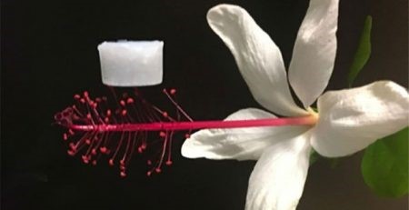 Vật liệu cách nhiệt nhẹ hơn bông