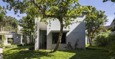 Gia chủ Nghệ An xây nhà hình chữ Y vì vướng cây