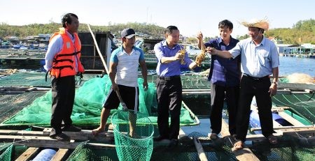 Khánh Hòa ưu tiên đề tài nghiên cứu phát triển kinh tế biển