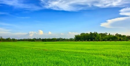 Điều chỉnh quy hoạch sử dụng đất tỉnh Sóc Trăng