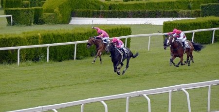 Chính phủ phê duyệt bổ sung trường đua ngựa vào quy hoạch Hà Nội