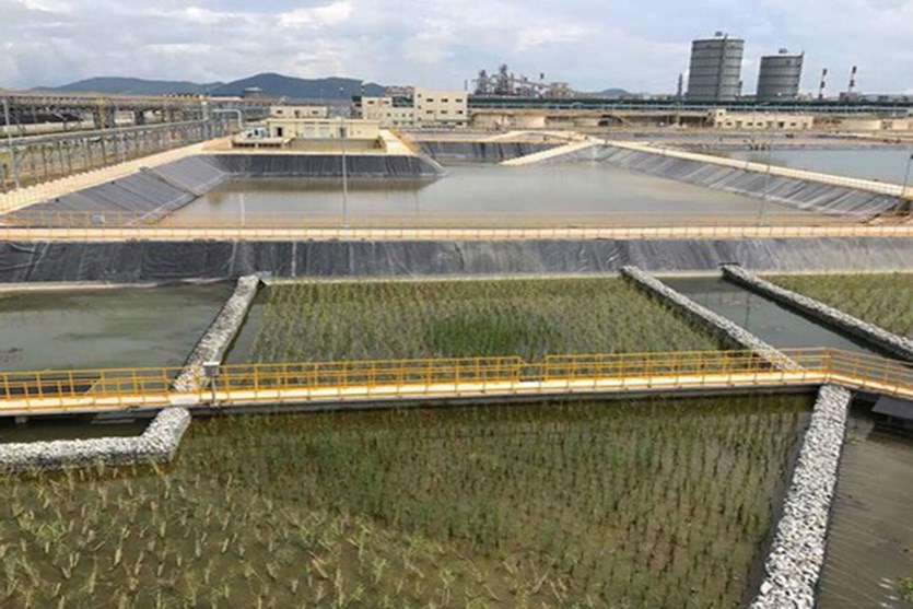 Hệ thống hồ sinh học xử lý bổ sung nước thải - Chỉ thị sinh học và kiểm soát sự cố cho khu liên hợp gang thép Formosa